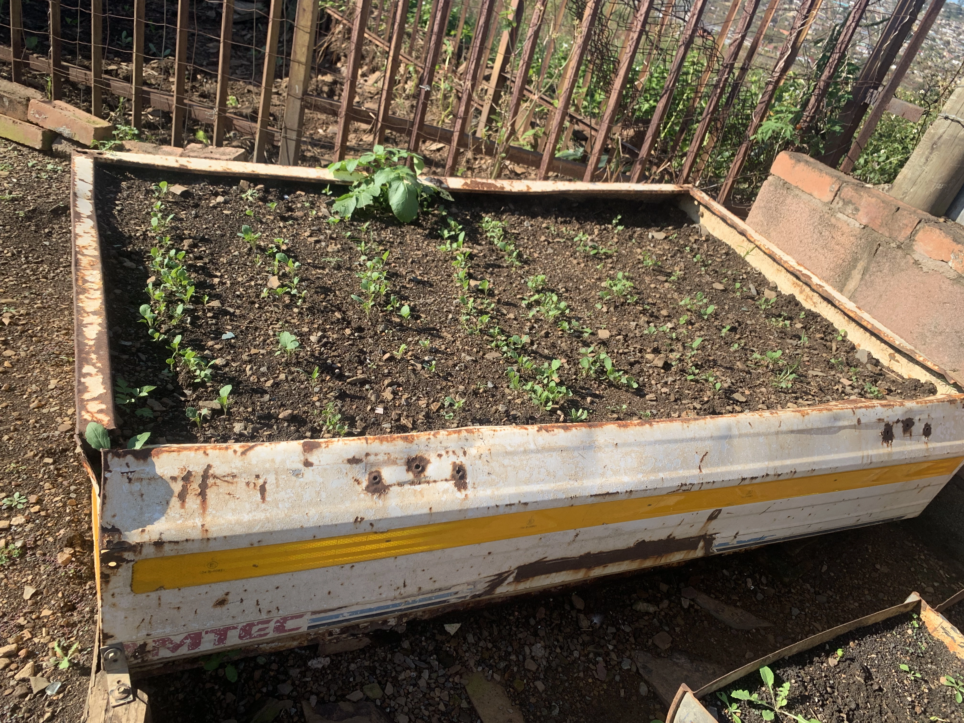 Freshly tended garden beds with strong potential.