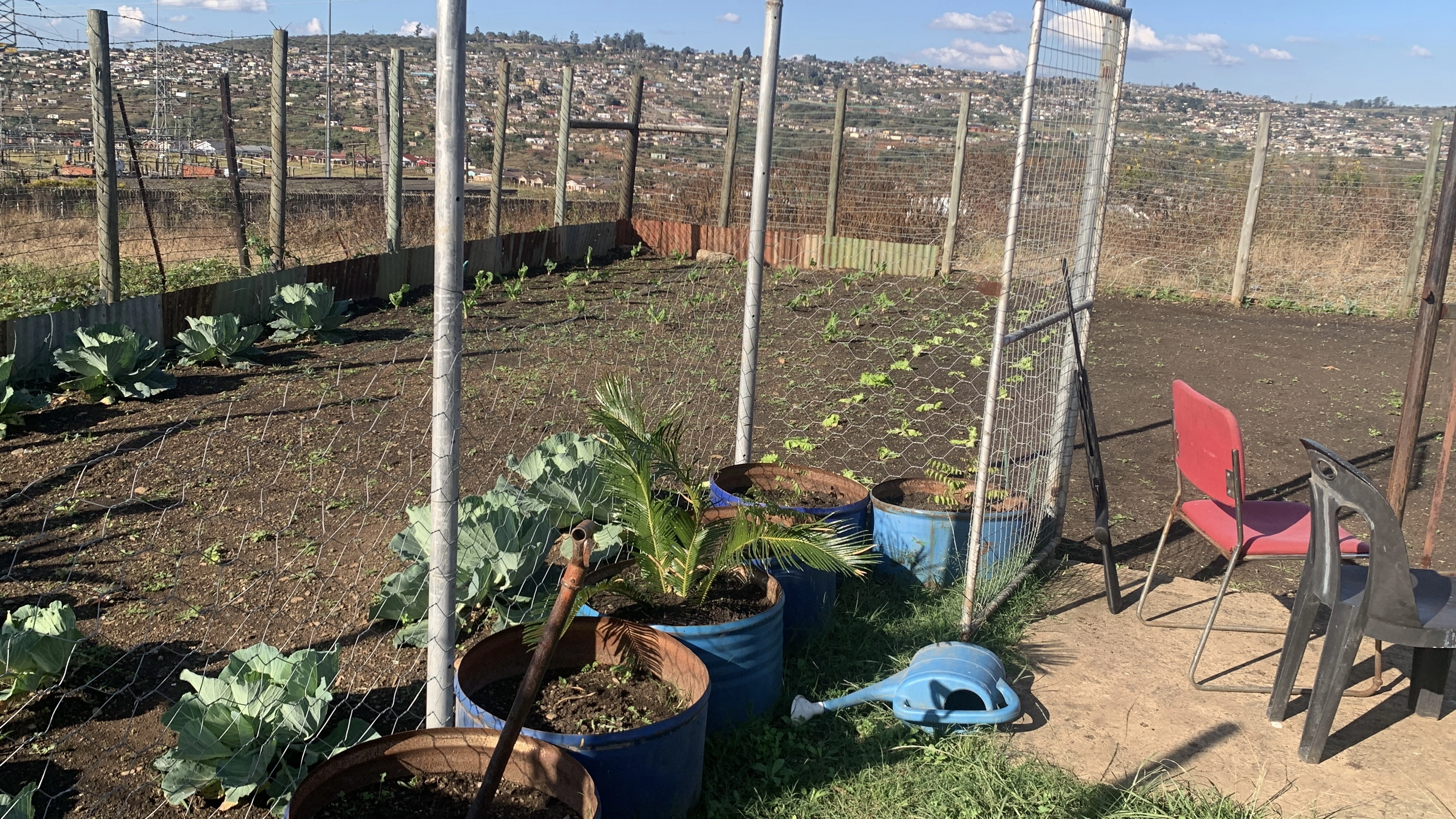Practical garden setup designed for local production.