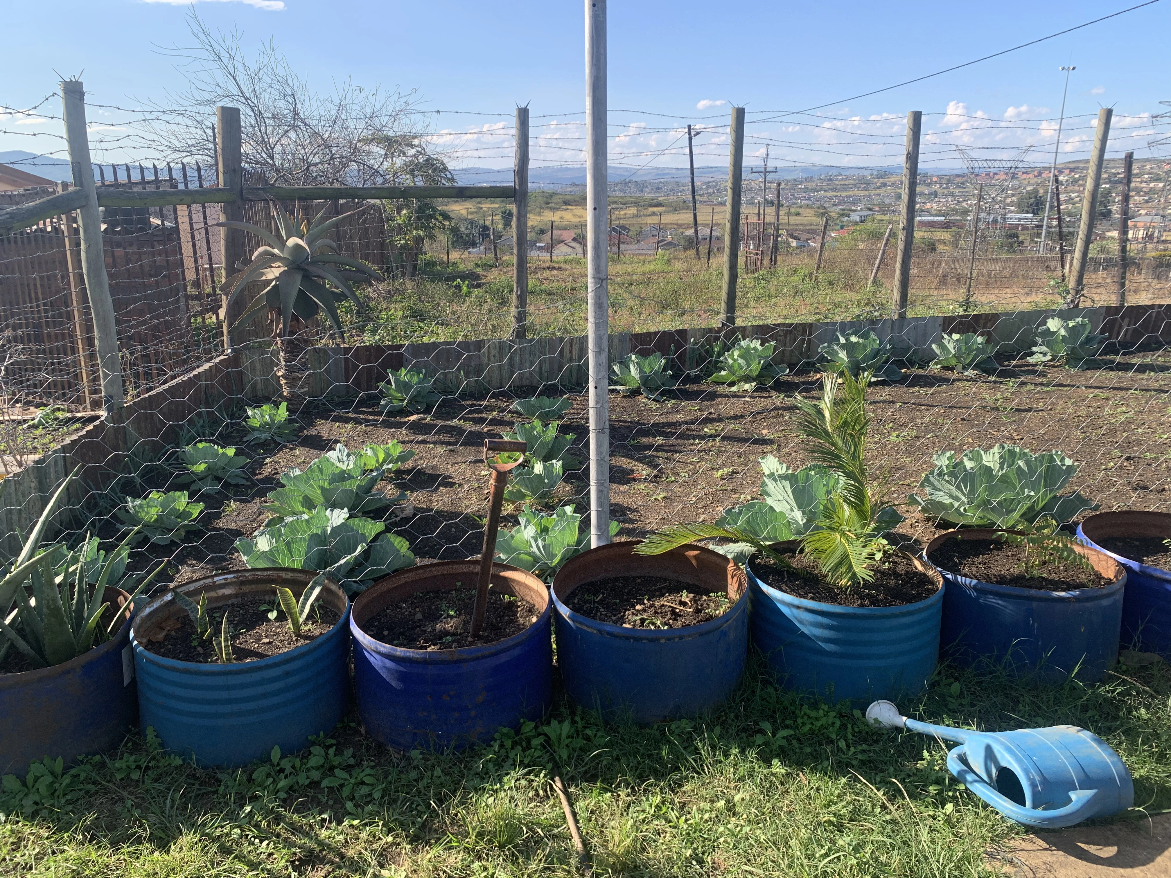 Growing area with space for steady crop cycles.