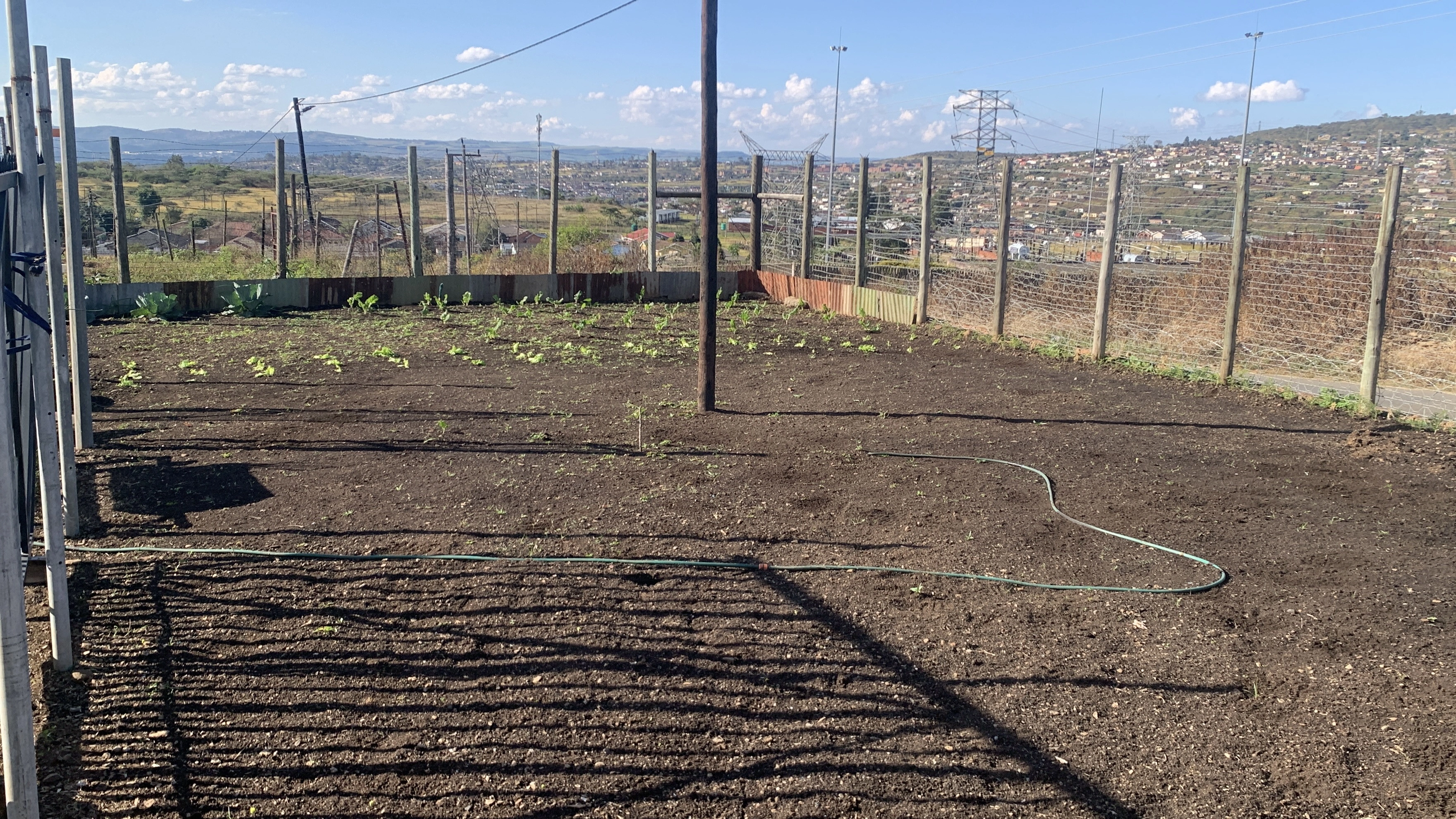 A working garden setup with consistent care.