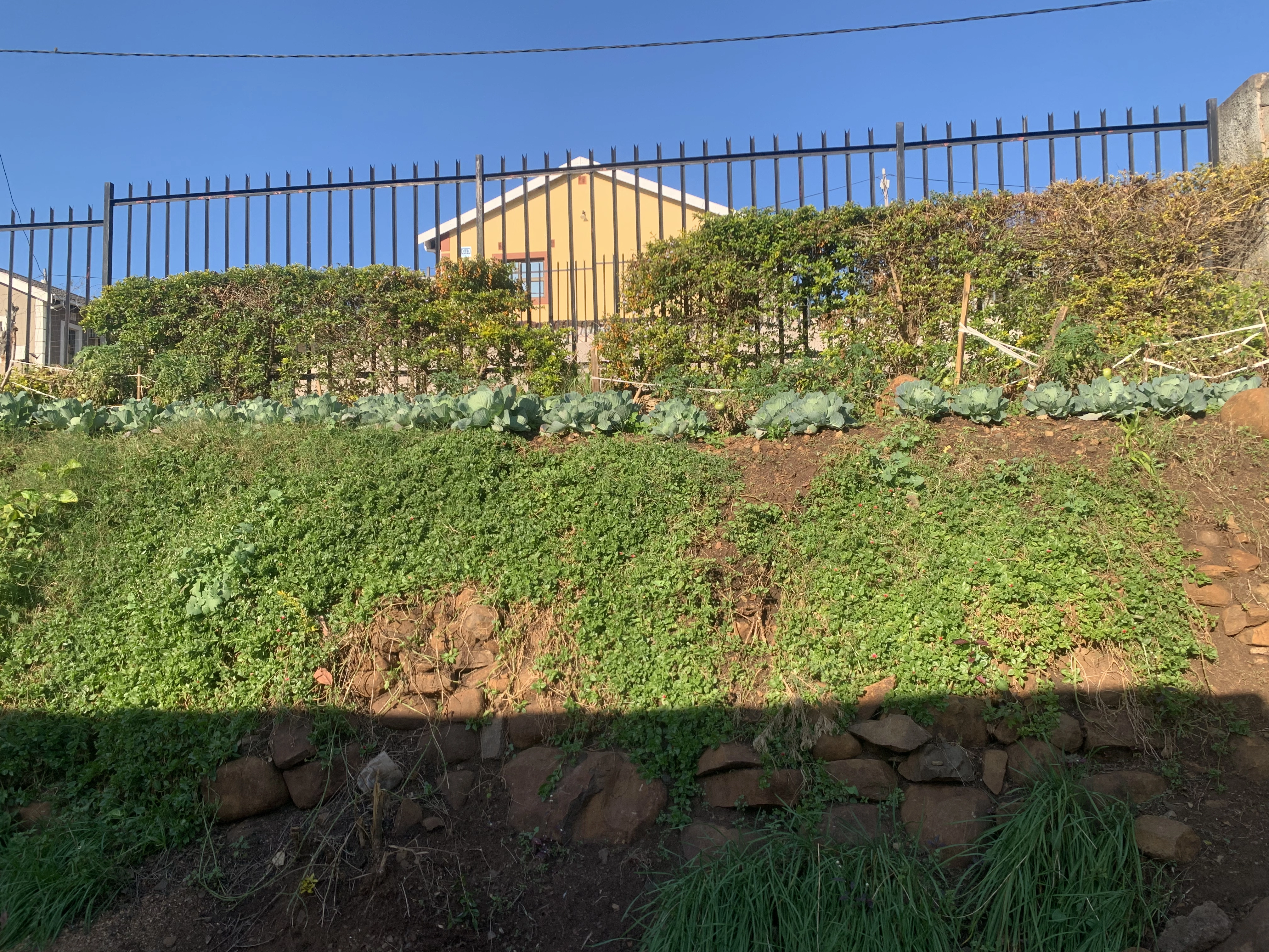 Well-positioned beds for daily garden work.